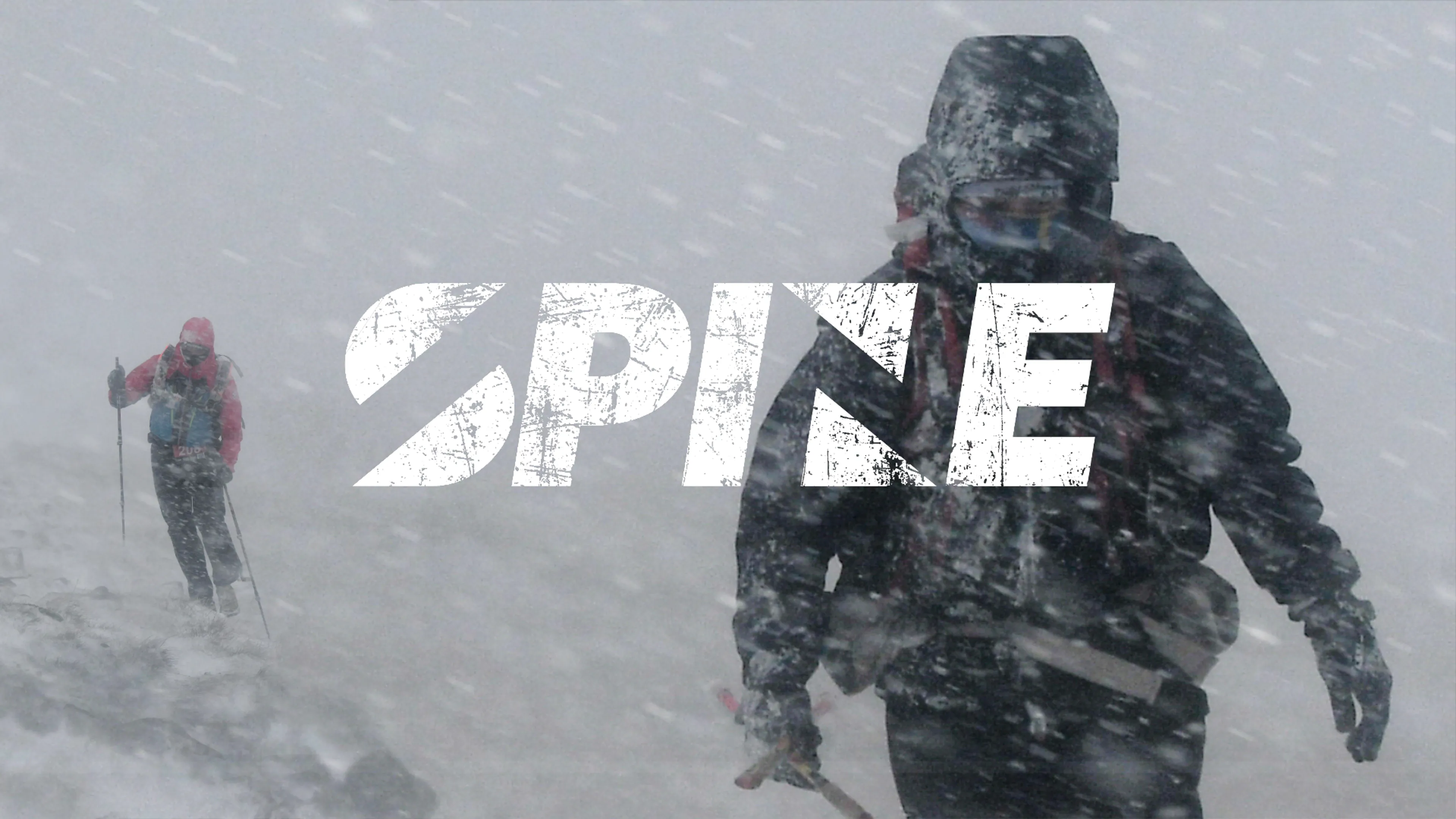 Spine poster